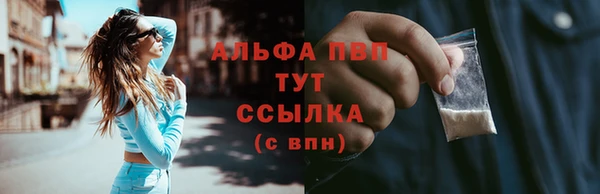 стафф Дмитриев