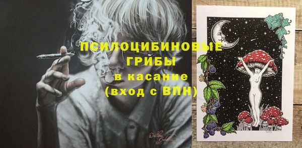 стафф Дмитриев