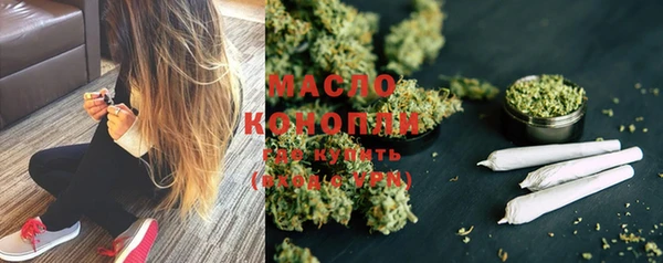 стафф Дмитриев