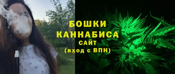 стафф Дмитриев