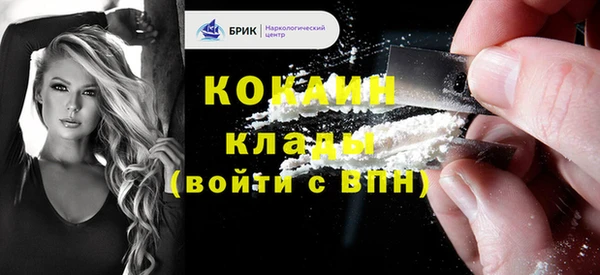 стафф Дмитриев