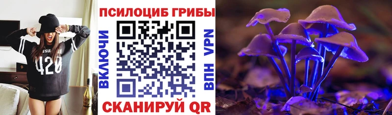 Галлюциногенные грибы Cubensis  где найти наркотики  Омутнинск 